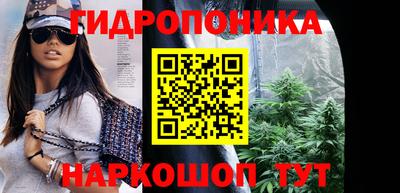 spice Кимры