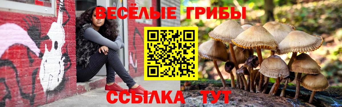 Псилоцибиновые грибы ЛСД  Вход с VPN  Красноуфимск 